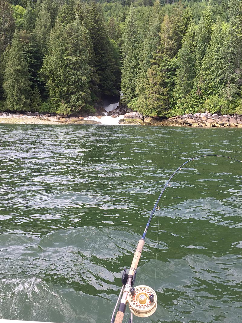 Bute Inlet: Paradise River Bute Inlet: Paradise River