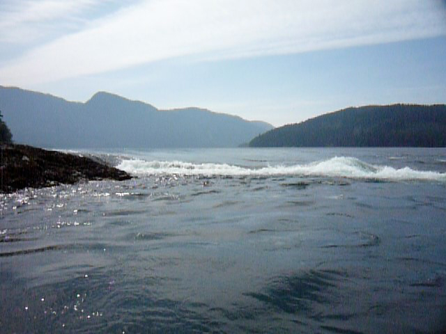 Arran Point, Stuart Island Arran Point, Stuart Island
